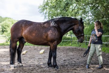 Bild 25 - Vivi